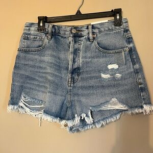 NWT PacSun Vintage Distressed Shorts